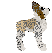 Vanillabel's Legs for Days — “Colette”