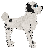 Chachke's West End Weekend — “Indigo”