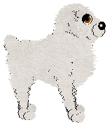 Aura's Salty Boy — “Frost”