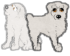 Profile image of Aura's Salty Boy