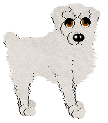 Profile image of Aura's Salty Boy