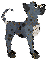 Medusa Supreme Delite — “Domino”