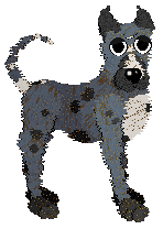 Medusa Supreme Delite — “Domino”