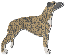 Profile image of Jetstream Promise It's Not Prosthetic