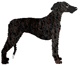 Jetstream Stale Cupcakes — “Totakeke”