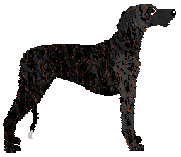 Jetstream Stale Cupcakes — “Totakeke”