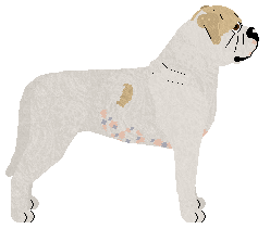 Olfaction A Wrinkle In Time — “Toady”