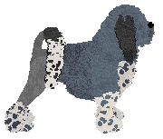 Olfaction Feng Shui Spiral — “Mashiro”