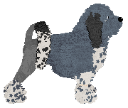 Olfaction Feng Shui Spiral — “Mashiro”