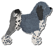 Profile image of Olfaction Feng Shui Spiral