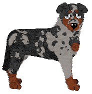 Paradigm Apprentice Thief — “Commodore”