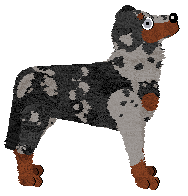 Paradigm Apprentice Thief — “Commodore”