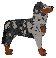 Paradigm Apprentice Thief — “Commodore”