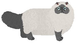 Elegant After All This Time — “Alia”