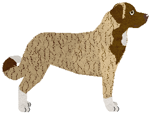 Crowned None So Blind — “Biscuit”