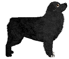 Wulver Cold Heart — “Freeze”