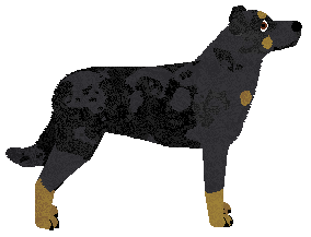 Wulver The Man — “Wulver The Man”