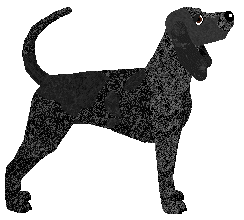 Nosewise Damnation — “Preacher”