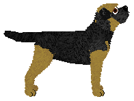 Hadrian's Rome Burns — “Nero”