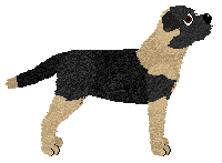 Hadrian's Gladiator — “Victory”