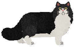 Monarch's Lost Head — “Charles”