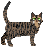 Folklore Little Dragon — “Feng”