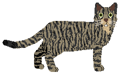 Folklore Great Wall — “Lin”