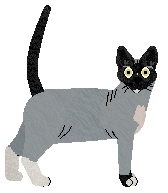 The Mob's Russian Secrets — “Dmitri”