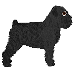 Crowned To the Slaughter — “Squid”