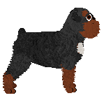 Crowned Timeless — “Lyric”