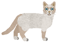 Folklore The Great Angel — “Heaven”