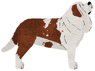 Crowned Red-Marked — “Lady”