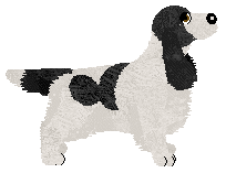 Evanescence Just Add Some Fun — “Egypte”