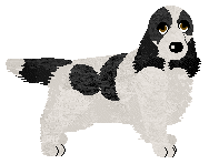 Profile image of Evanescence Just Add Some Fun