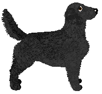 Evanescence Locksmith — “Conwy”