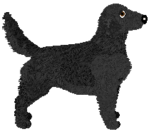 Evanescence Locksmith — “Conwy”