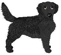 Profile image of Evanescence Locksmith