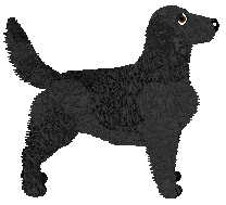 Evanescence Tame Impala — “Malu”