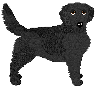 Profile image of Evanescence Tame Impala