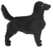 Profile image of Evanescence Tame Impala