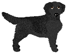 Profile image of Evanescence Quick In Black