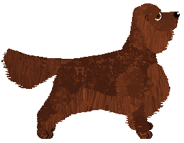 Evanescence Passacaglia Waltz — “Passalia”