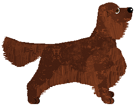 Profile image of Evanescence River Flows In You