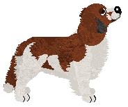 Converse OLD MONEY at Evanescence — “Odette”