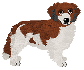 Profile image of Converse OLD MONEY at Evanescence