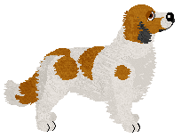 Evanescence Red Red Wine — “Helsinki”