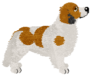 Evanescence Maansverduistering — “Maantje”