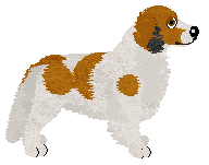 Evanescence Maansverduistering — “Maantje”