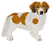 Profile image of Evanescence Maansverduistering