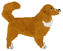 Evanescence Quiet at Dawn — “Galen”